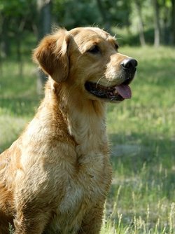 adsc_0020