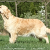 klein_img_0280