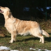 klein_img_8959