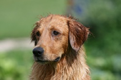 klein_img_9975