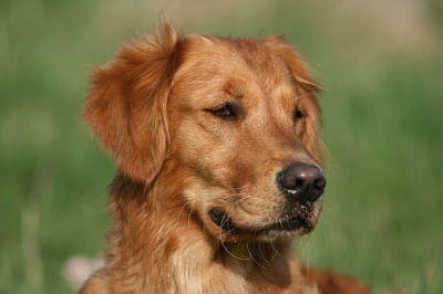 jo_img_9060