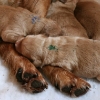 klein_img_7104