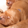 klein_img_7779