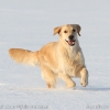 comp_img_7565