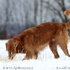 comp_img_6790