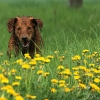 comp_img_7798
