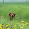 comp_img_7907