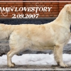 lovestory