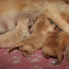 klein_img_7007