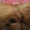 klein_img_7023