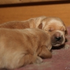 klein_img_7331