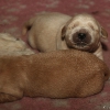 klein_img_7364
