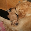 klein_img_7438