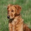 jo_img_8974