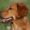 jo_img_9058