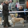 bq_show_cloppenburg