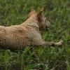 img_1775
