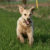 jo_img_0743
