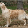 jo_img_7822