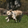jo_img_8648