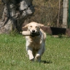 jo_img_8651