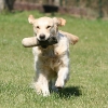 jo_img_8654