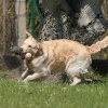 jo_img_8707