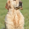 klein_img_0066