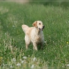 klein_img_1625