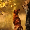 comp_2010-10-24-380