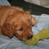 klein_img_2924