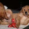 klein_img_2951
