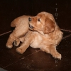 klein_img_3003