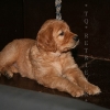 klein_img_3005
