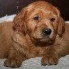 klein_img_3020