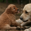 klein_img_2546