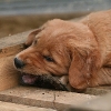 klein_img_3415