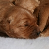 klein_img_8502