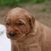 klein_img_9695