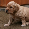 klein_img_9710