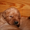 klein_img_9229
