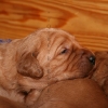klein_img_9231