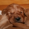 klein_img_9233