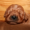 klein_img_9265