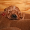 klein_img_9268