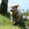 klein_img_6732