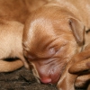 klein_img_2966