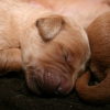 klein_img_3391