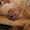klein_img_3404