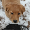 comp_img_8098